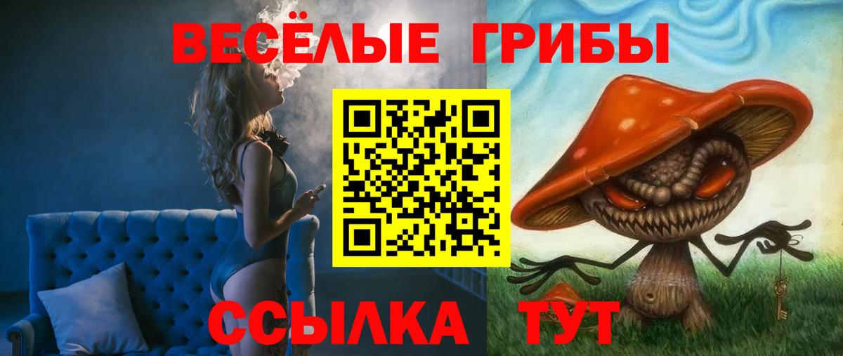 Петропавловск-Камчатский  Галлюциногенные грибы Psilocybine cubensis  даркнет сайт  Вход с VPN 